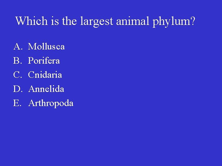 Which is the largest animal phylum? A. B. C. D. E. Mollusca Porifera Cnidaria