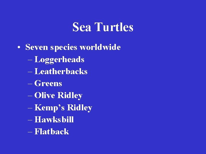 Sea Turtles • Seven species worldwide – Loggerheads – Leatherbacks – Greens – Olive