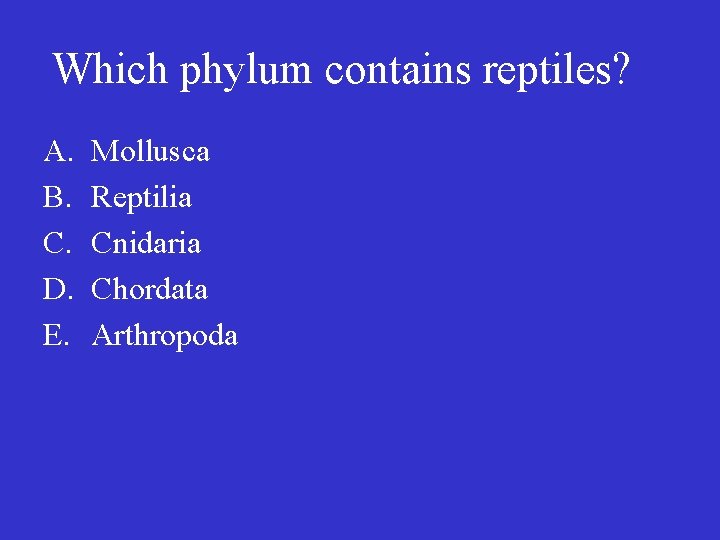 Which phylum contains reptiles? A. B. C. D. E. Mollusca Reptilia Cnidaria Chordata Arthropoda