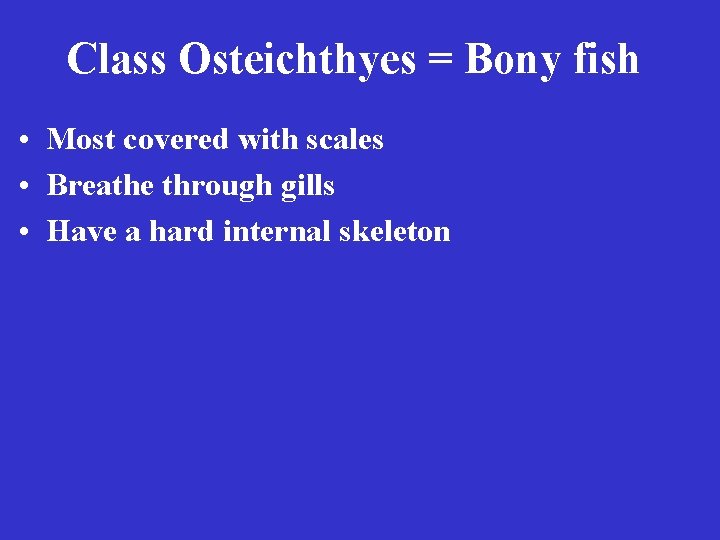 Class Osteichthyes = Bony fish • Most covered with scales • Breathe through gills