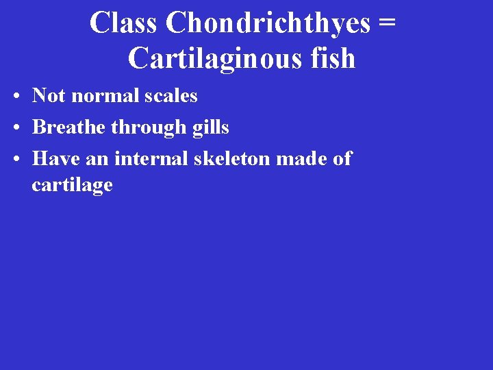 Class Chondrichthyes = Cartilaginous fish • Not normal scales • Breathe through gills •