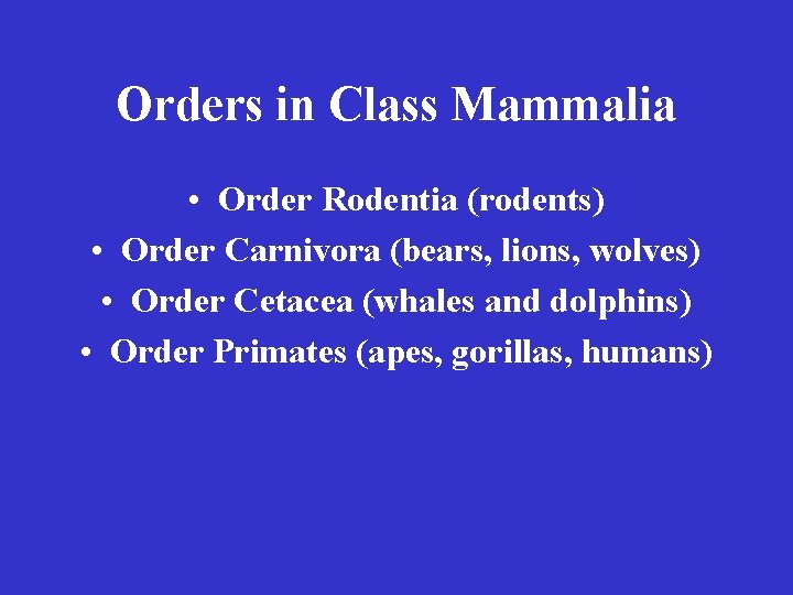 Orders in Class Mammalia • Order Rodentia (rodents) • Order Carnivora (bears, lions, wolves)