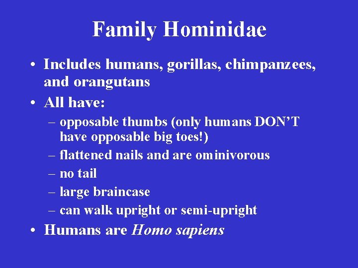 Family Hominidae • Includes humans, gorillas, chimpanzees, and orangutans • All have: – opposable