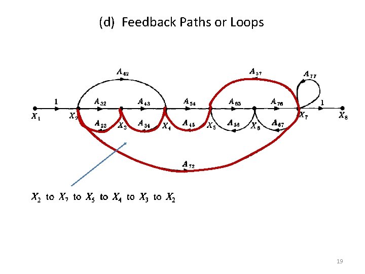 (d) Feedback Paths or Loops 19 