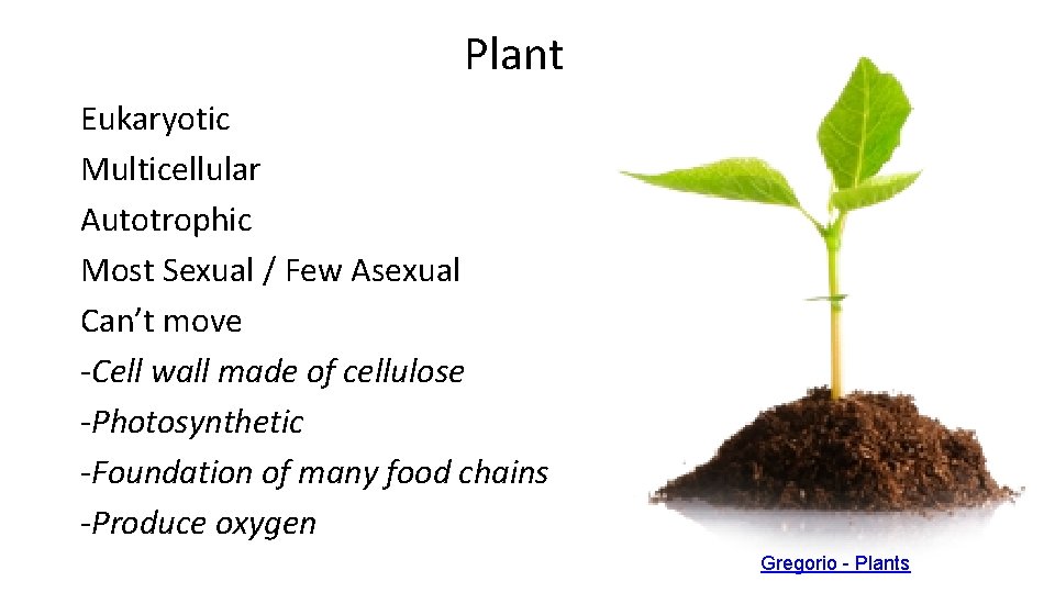 Plant Eukaryotic Multicellular Autotrophic Most Sexual / Few Asexual Can’t move -Cell wall made