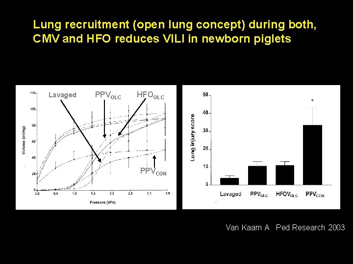 Lung recruitment (open lung concept) during both, CMV and HFO reduces VILI in newborn