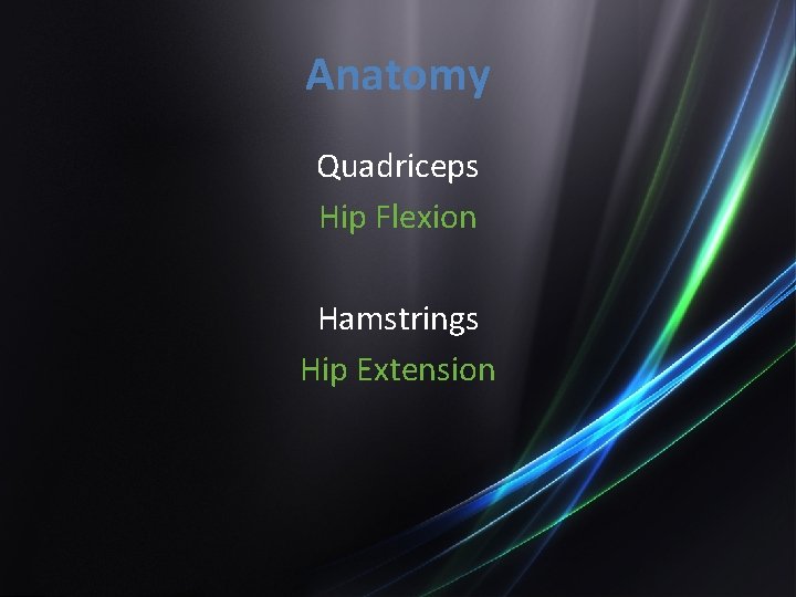 Anatomy Quadriceps Hip Flexion Hamstrings Hip Extension 