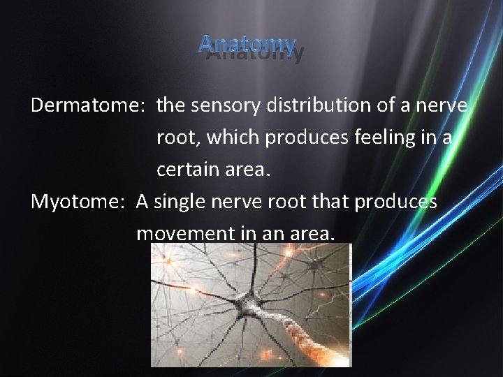 Dermatome: the sensory distribution of a nerve root, which produces feeling in a certain