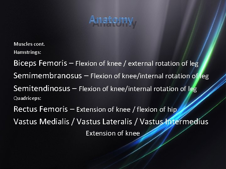 Muscles cont. Hamstrings: Biceps Femoris – Flexion of knee / external rotation of leg