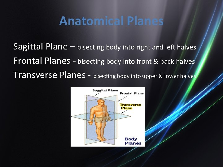 Anatomical Planes Sagittal Plane – bisecting body into right and left halves Frontal Planes