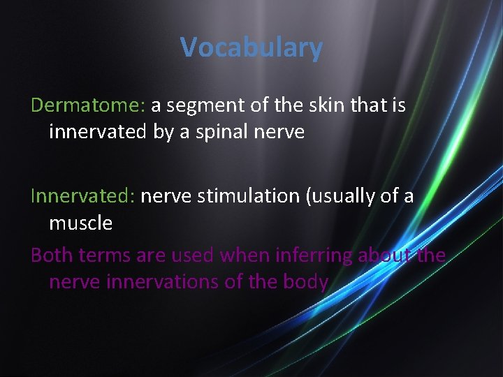 Vocabulary Dermatome: a segment of the skin that is innervated by a spinal nerve