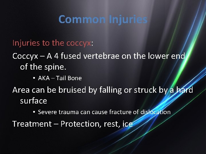 Common Injuries to the coccyx: Coccyx – A 4 fused vertebrae on the lower