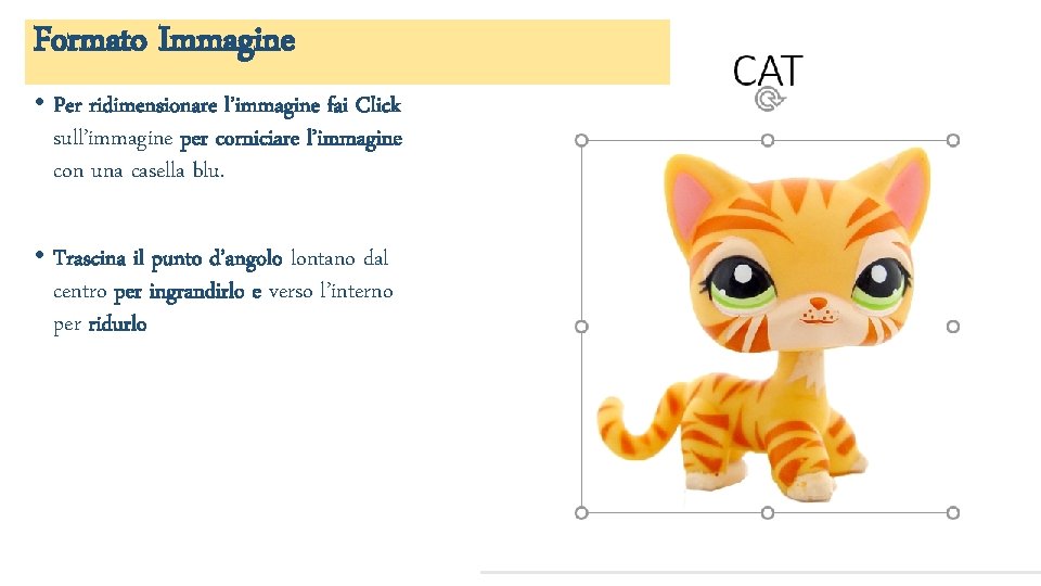 Formato Immagine • Per ridimensionare l’immagine fai Click sull’immagine per corniciare l’immagine con una