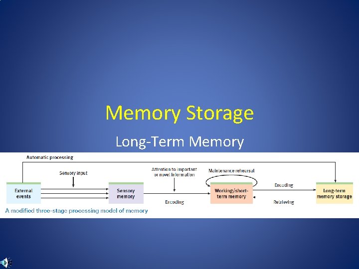 Memory Storage Long-Term Memory 