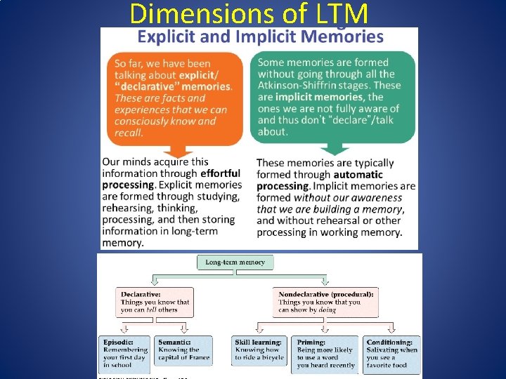 Dimensions of LTM 