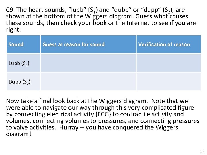 C 9. The heart sounds, “lubb” (S 1) and “dubb” or “dupp” (S 2),