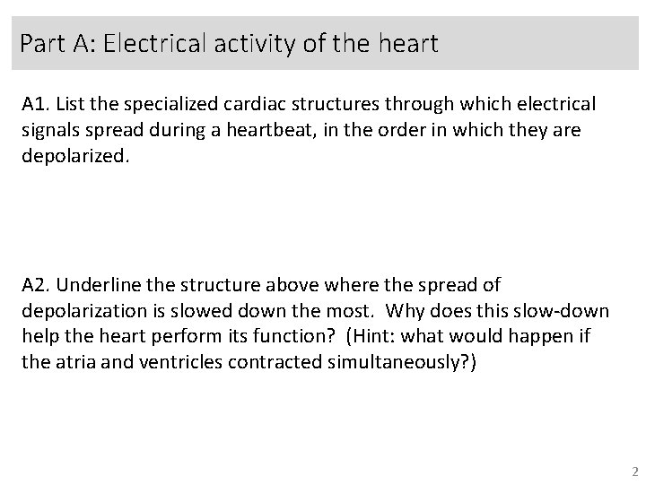 Part A: Electrical activity of the heart A 1. List the specialized cardiac structures