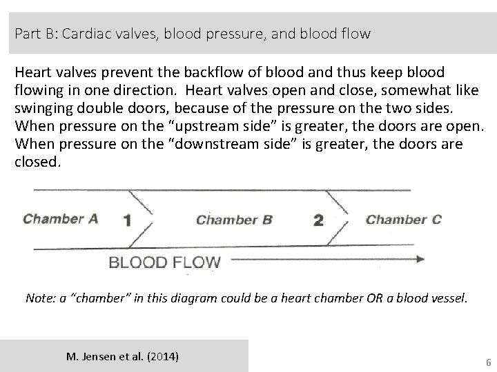 Part B: Cardiac valves, blood pressure, and blood flow Heart valves prevent the backflow