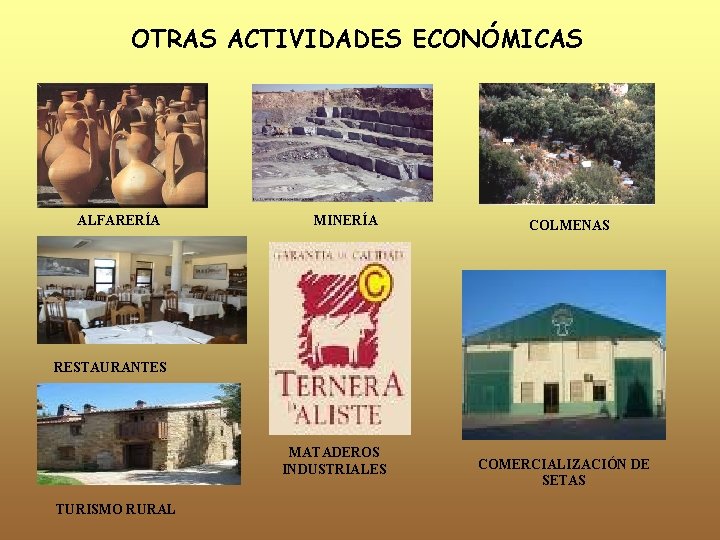 OTRAS ACTIVIDADES ECONÓMICAS ALFARERÍA MINERÍA COLMENAS RESTAURANTES MATADEROS INDUSTRIALES TURISMO RURAL COMERCIALIZACIÓN DE SETAS