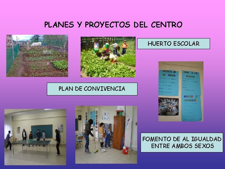 PLANES Y PROYECTOS DEL CENTRO HUERTO ESCOLAR PLAN DE CONVIVENCIA FOMENTO DE AL IGUALDAD