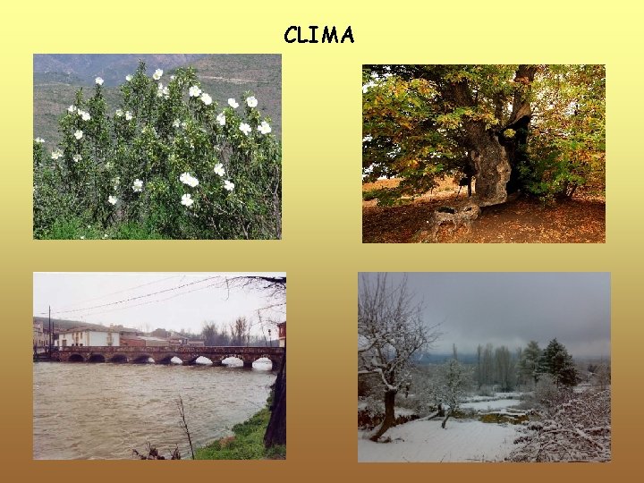 CLIMA 