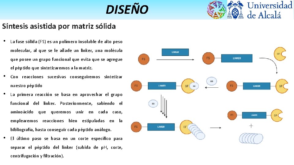 DISEÑO Síntesis asistida por matriz sólida • La fase sólida (FS) es un polímero