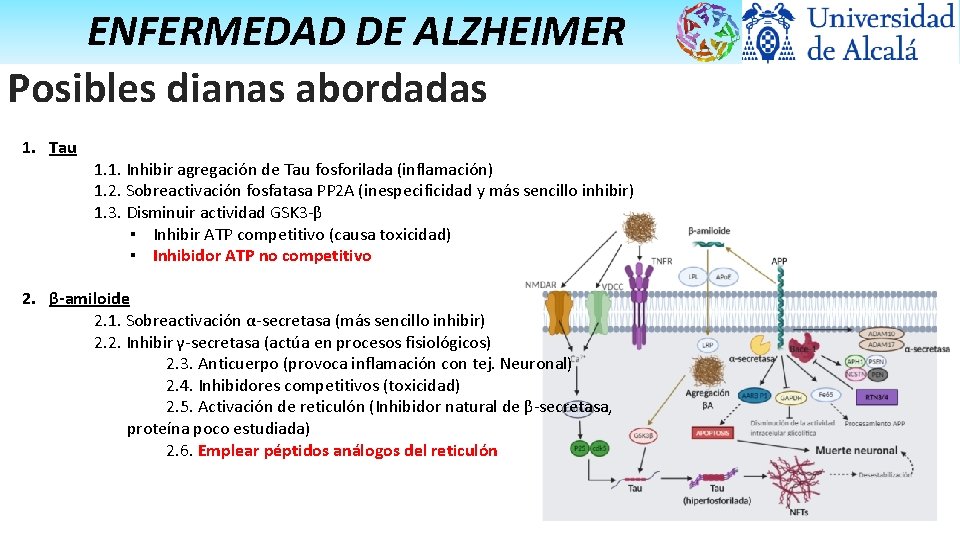 ENFERMEDAD DE ALZHEIMER Posibles dianas abordadas 1. Tau 1. 1. Inhibir agregación de Tau