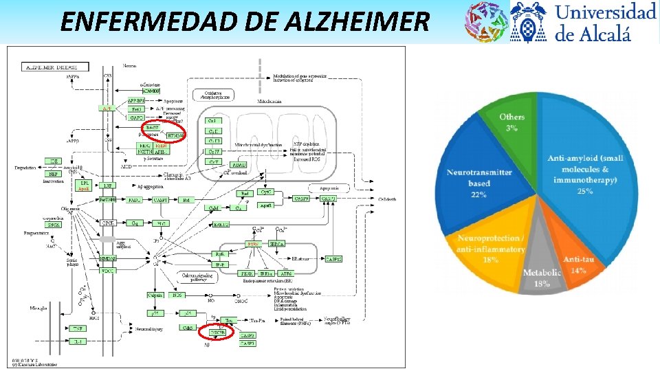 ENFERMEDAD DE ALZHEIMER 