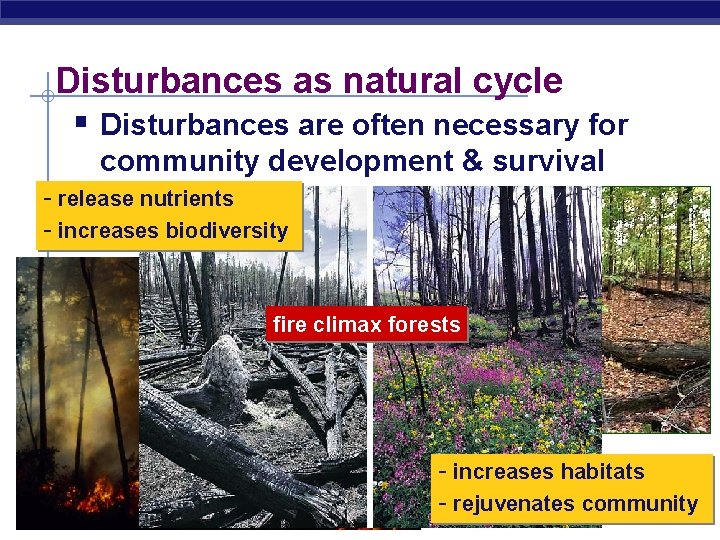 Disturbances as natural cycle § Disturbances are often necessary for community development & survival