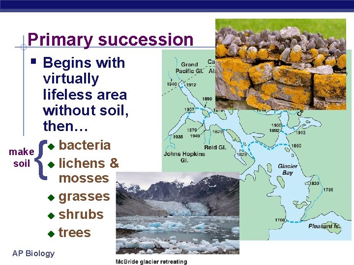 Primary succession § Begins with virtually lifeless area without soil, then… { make soil