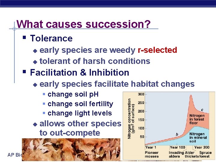 What causes succession? § Tolerance early species are weedy r-selected u tolerant of harsh