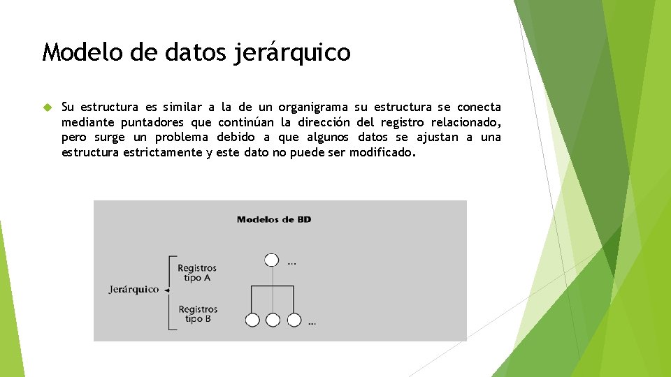 Modelo de datos jerárquico Su estructura es similar a la de un organigrama su