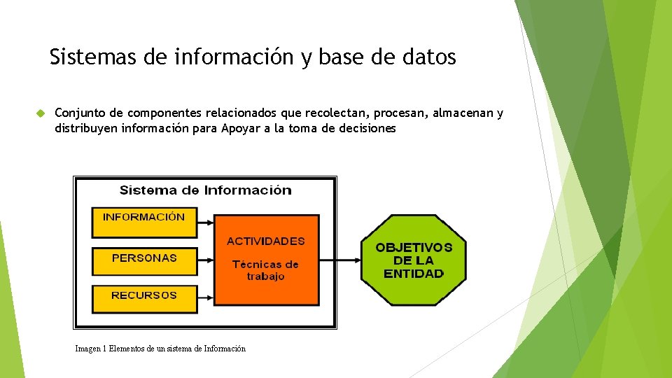 Sistemas de información y base de datos Conjunto de componentes relacionados que recolectan, procesan,