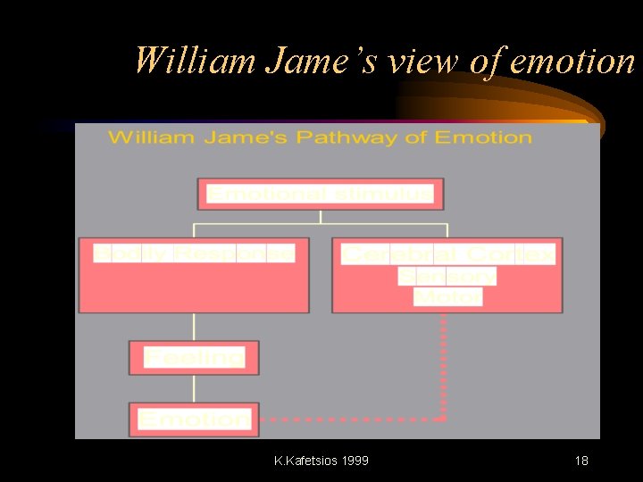 William Jame’s view of emotion K. Kafetsios 1999 18 