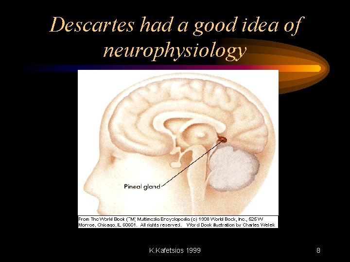 Descartes had a good idea of neurophysiology K. Kafetsios 1999 8 