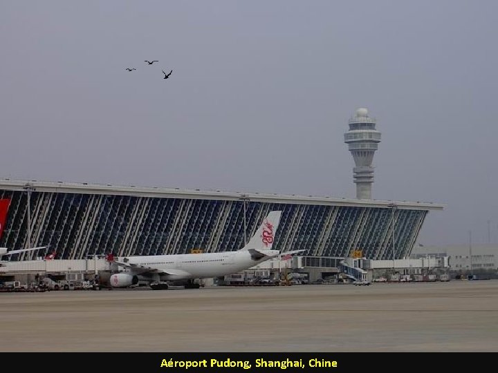 Aéroport Pudong, Shanghai, Chine 