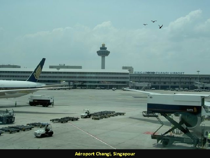 Aéroport Changi, Singapour 