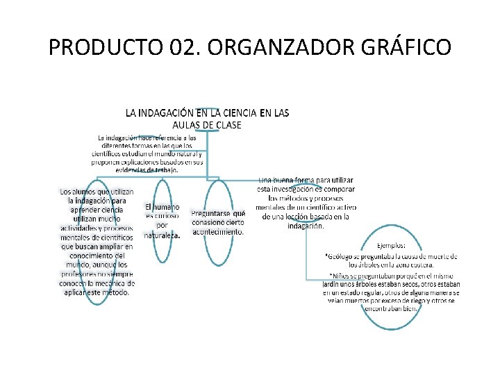 PRODUCTO 02. ORGANZADOR GRÁFICO 