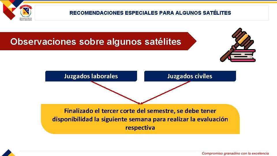 RECOMENDACIONES ESPECIALES PARA ALGUNOS SATÉLITES Observaciones sobre algunos satélites Juzgados laborales Juzgados civiles Finalizado