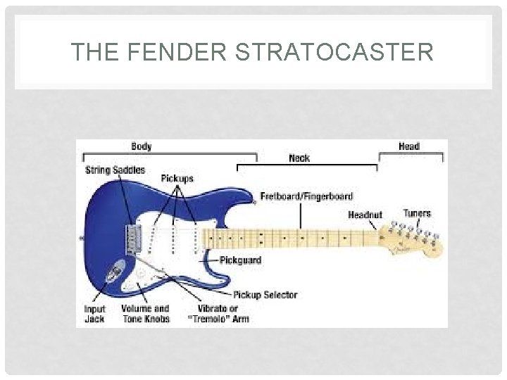 THE FENDER STRATOCASTER 