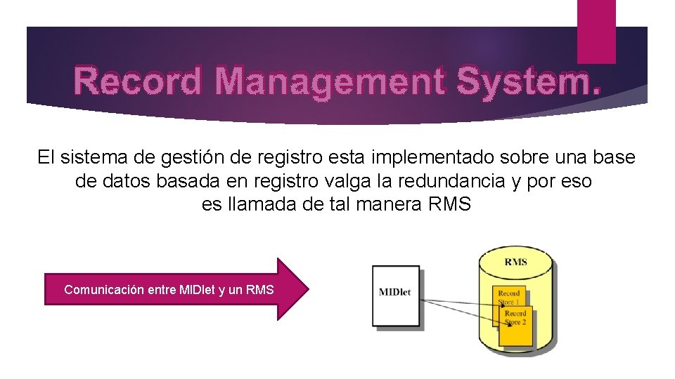 Record Management System. El sistema de gestión de registro esta implementado sobre una base