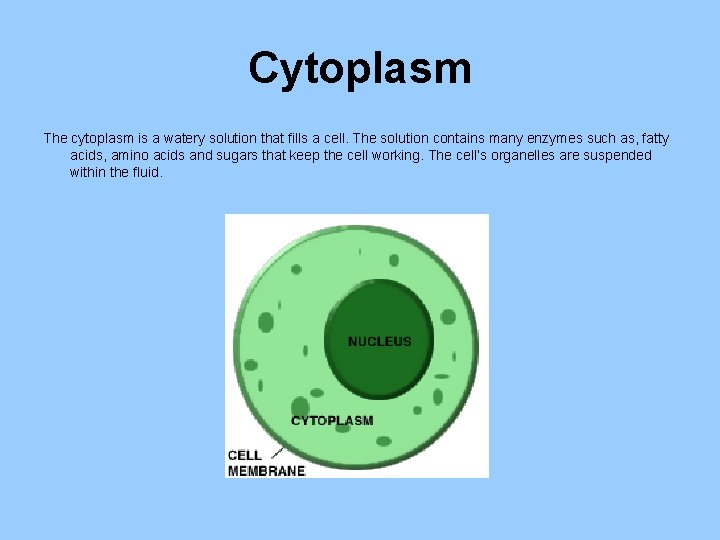 Cytoplasm The cytoplasm is a watery solution that fills a cell. The solution contains