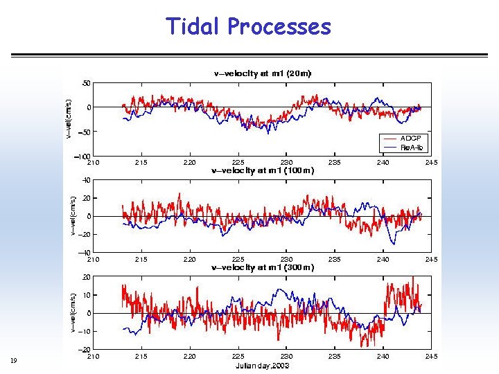 Tidal Processes 19 