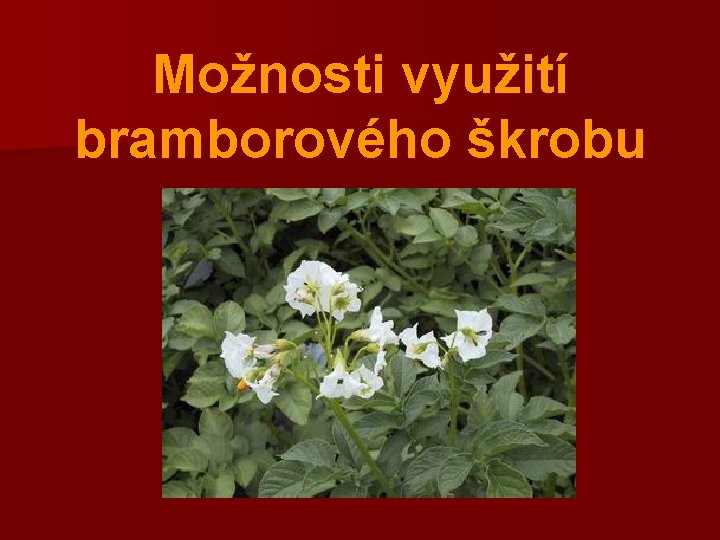 Možnosti využití bramborového škrobu 