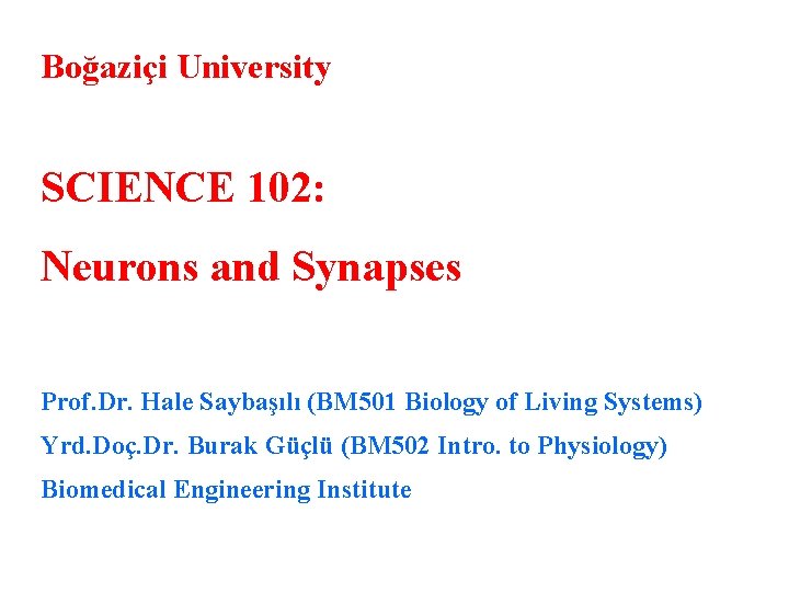 Boğaziçi University SCIENCE 102: Neurons and Synapses Prof. Dr. Hale Saybaşılı (BM 501 Biology