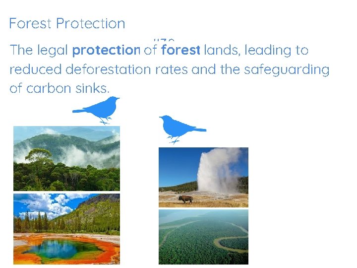 Forest Protection The legal protection of#38 forest lands, leading to reduced deforestation rates and