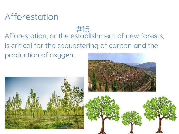Afforestation #15 Afforestation, or the establishment of new forests, is critical for the sequestering