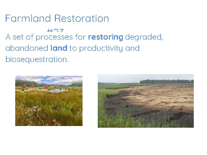 Farmland Restoration #23 for restoring degraded, A set of processes abandoned land to productivity