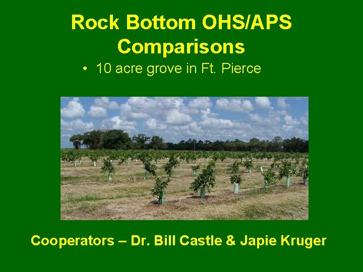 Rock Bottom OHS/APS Comparisons • 10 acre grove in Ft. Pierce Cooperators – Dr.