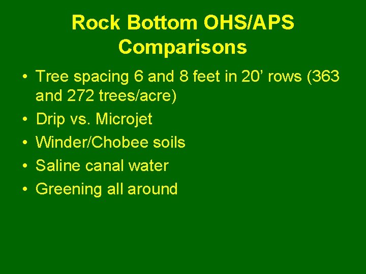Rock Bottom OHS/APS Comparisons • Tree spacing 6 and 8 feet in 20’ rows